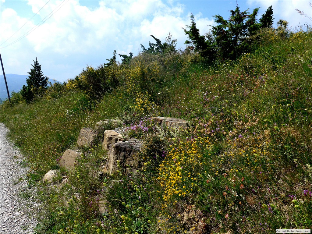 P1050848