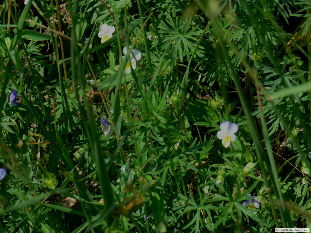 P1050849