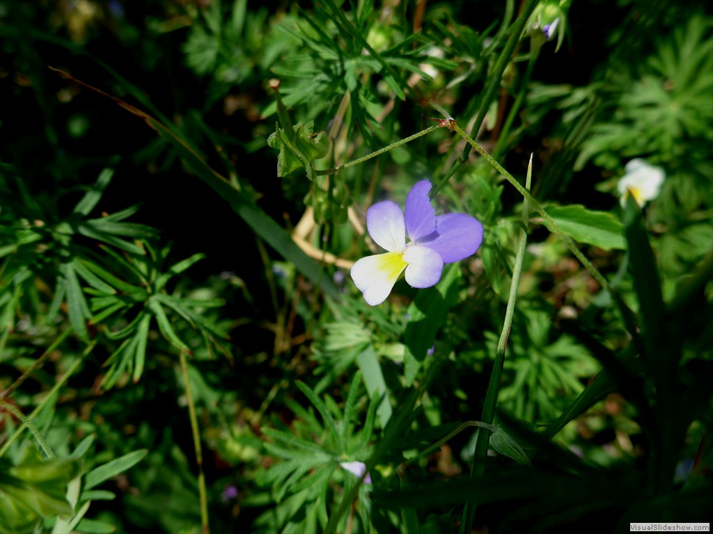 P1050850