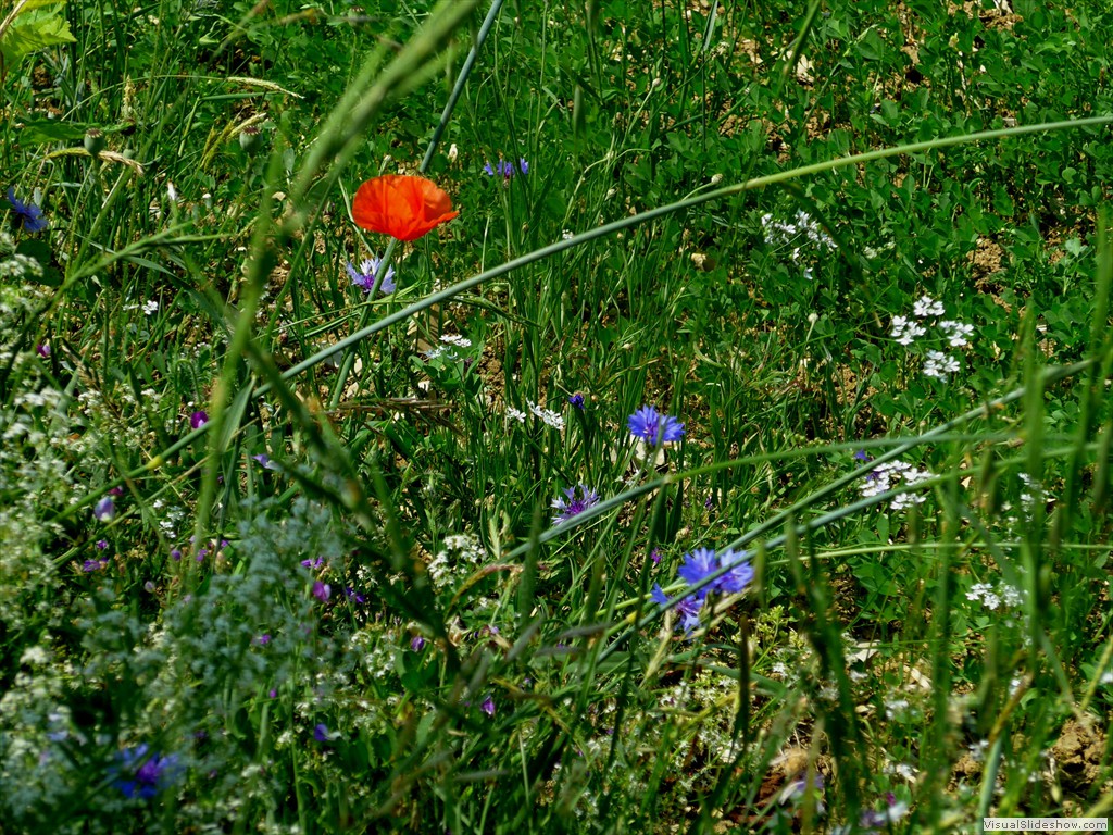 P1050853