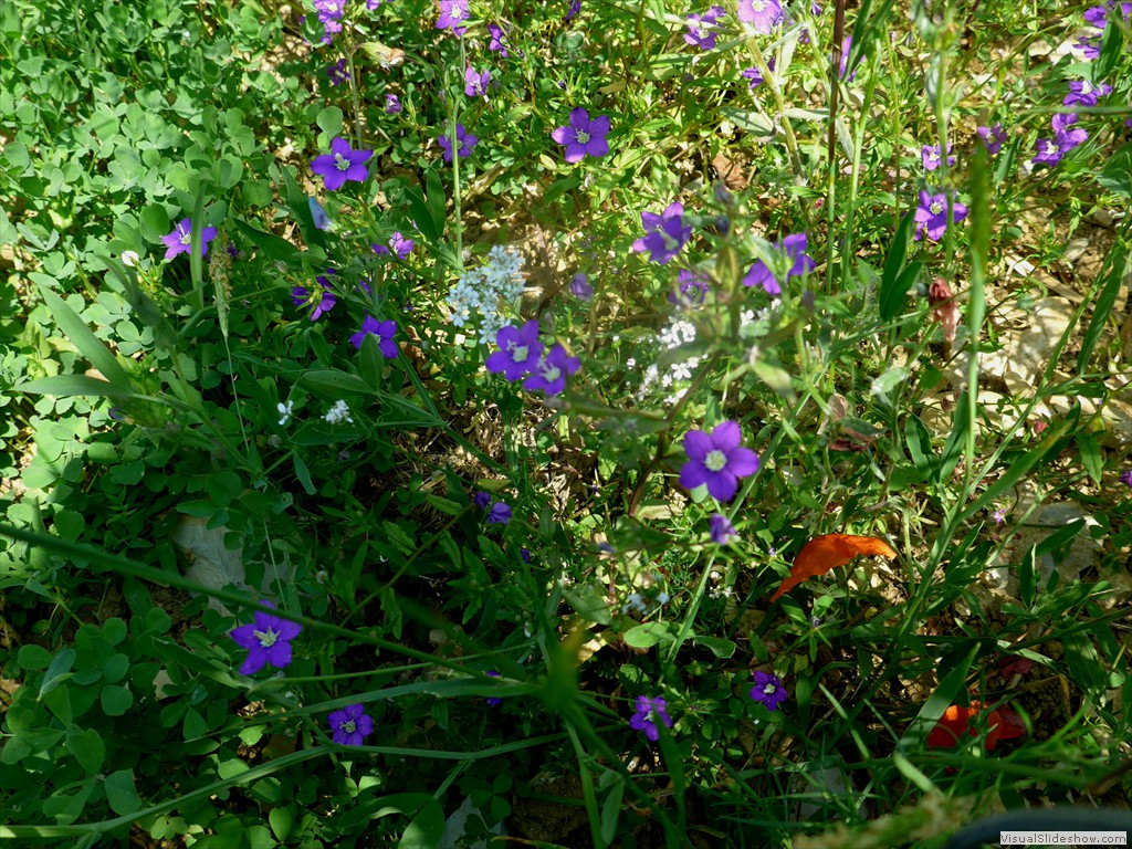 P1050855