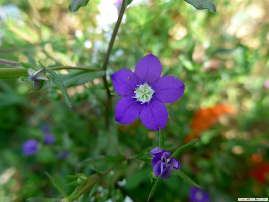 P1050856