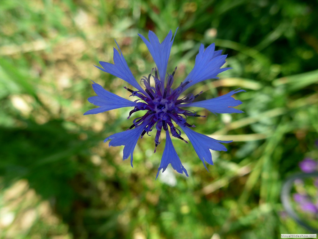 P1050857