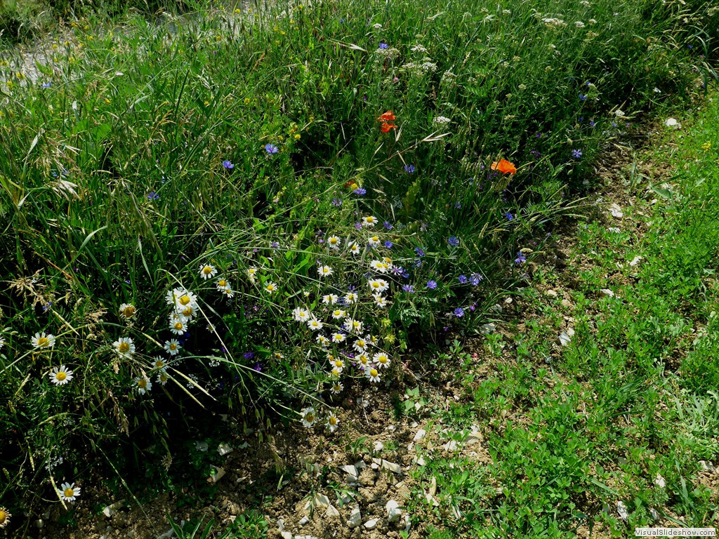 P1050859