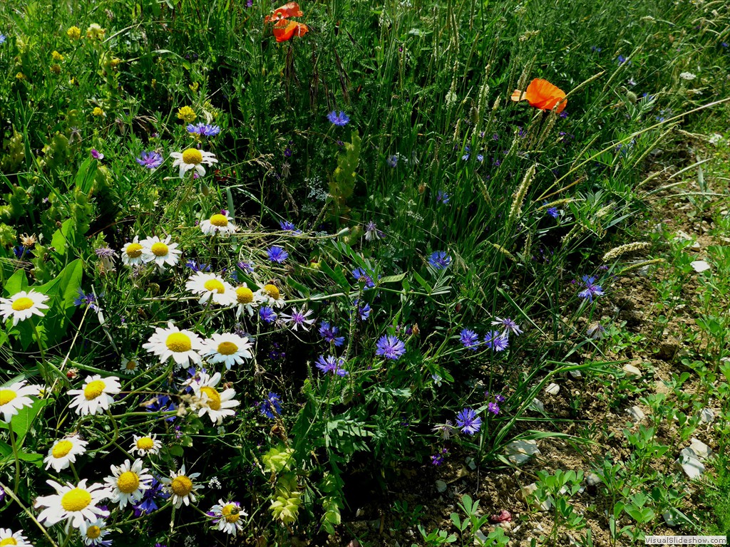 P1050860
