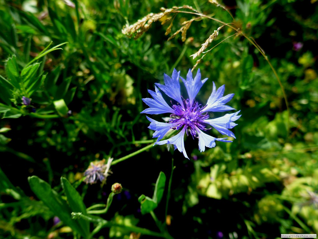 P1050861