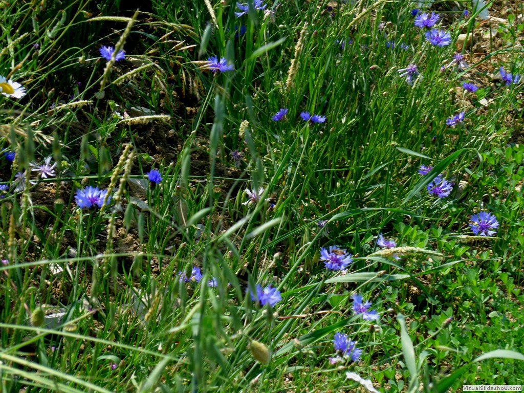 P1050863