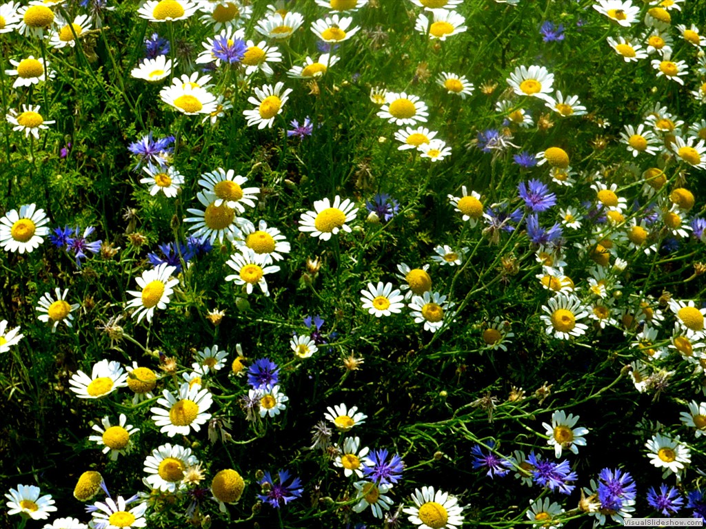P1050868