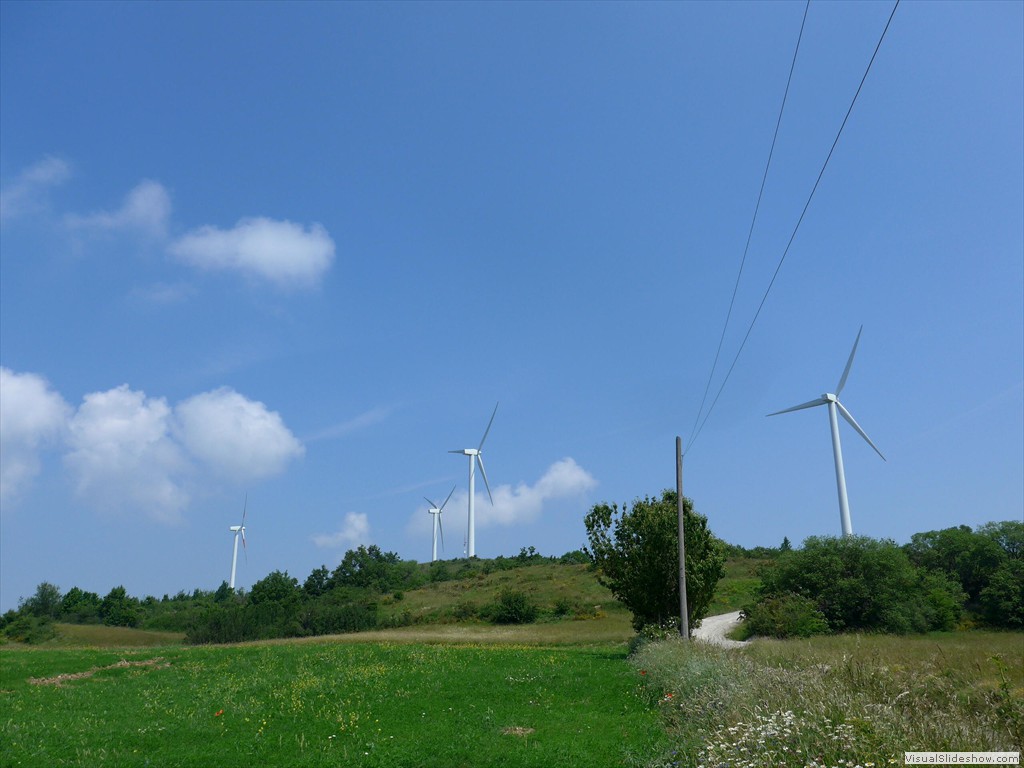 P1050871