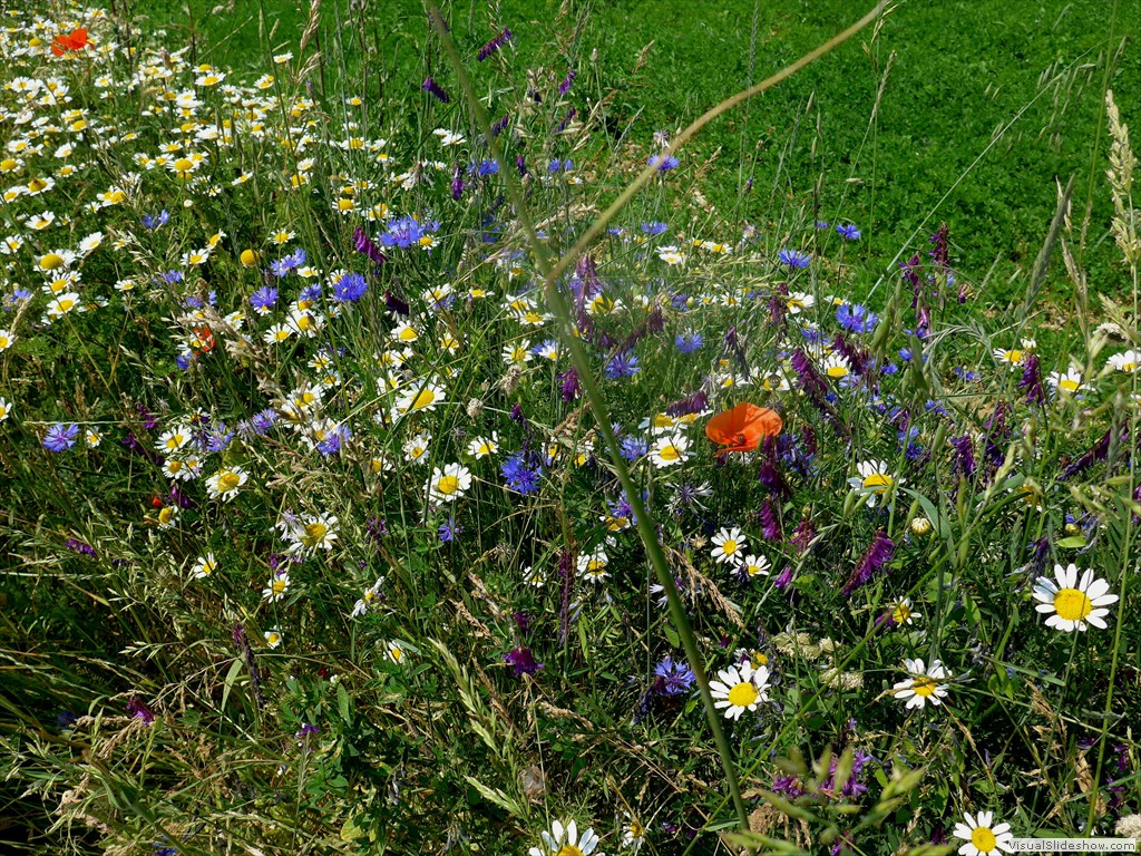 P1050872