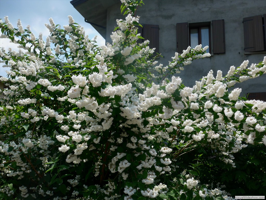 P1050886