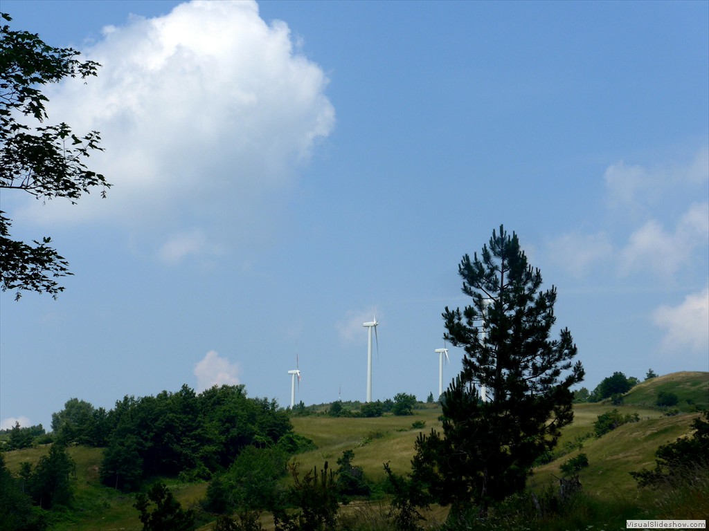 P1050888