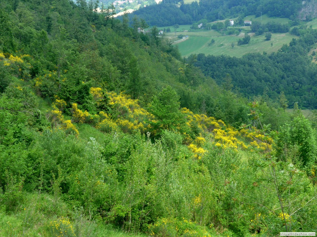 P1050905