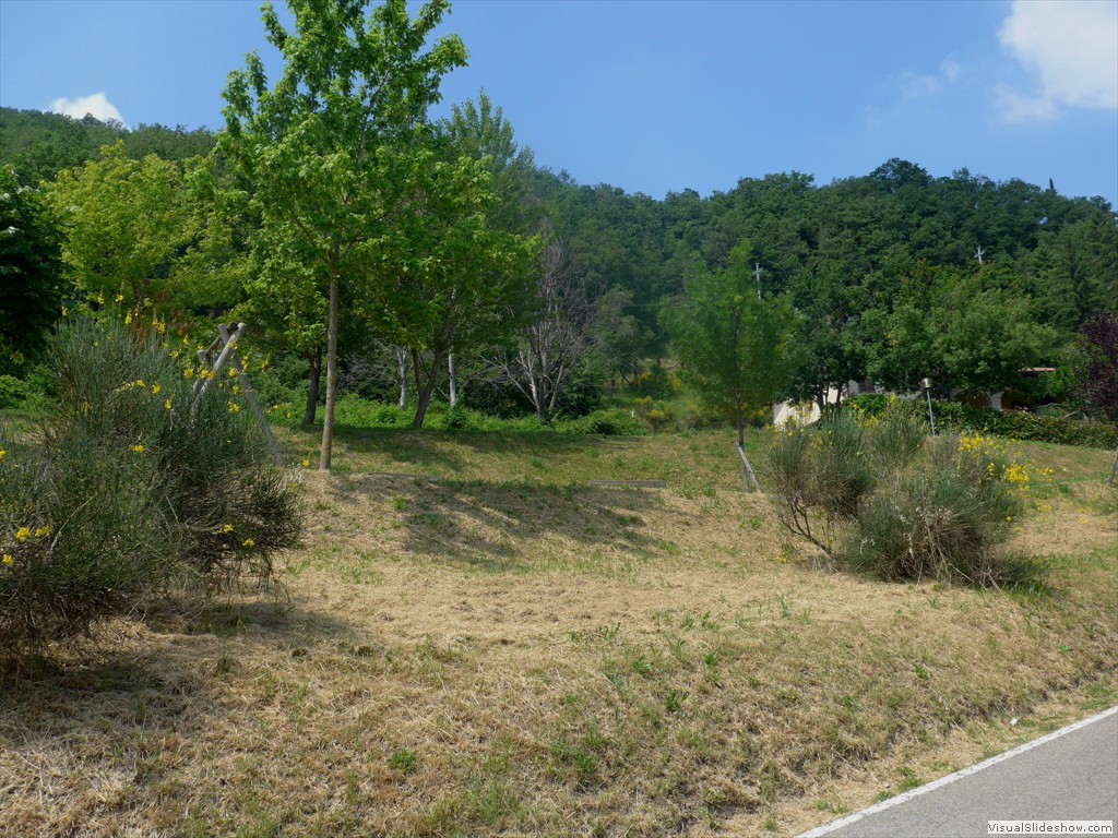 P1050910