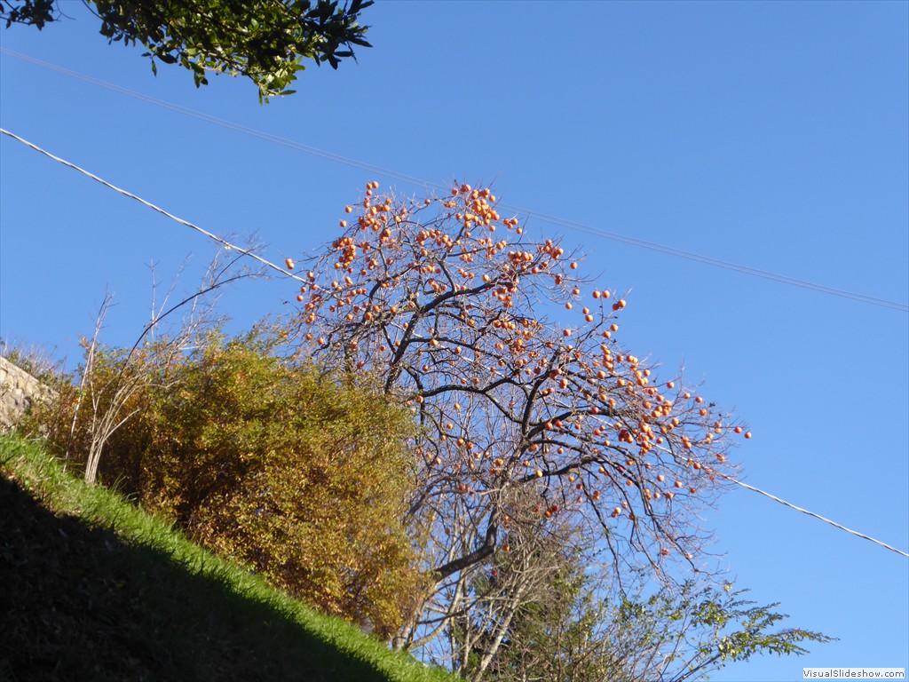 P1020206