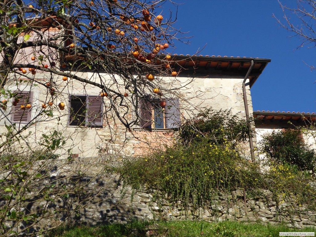 P1020207