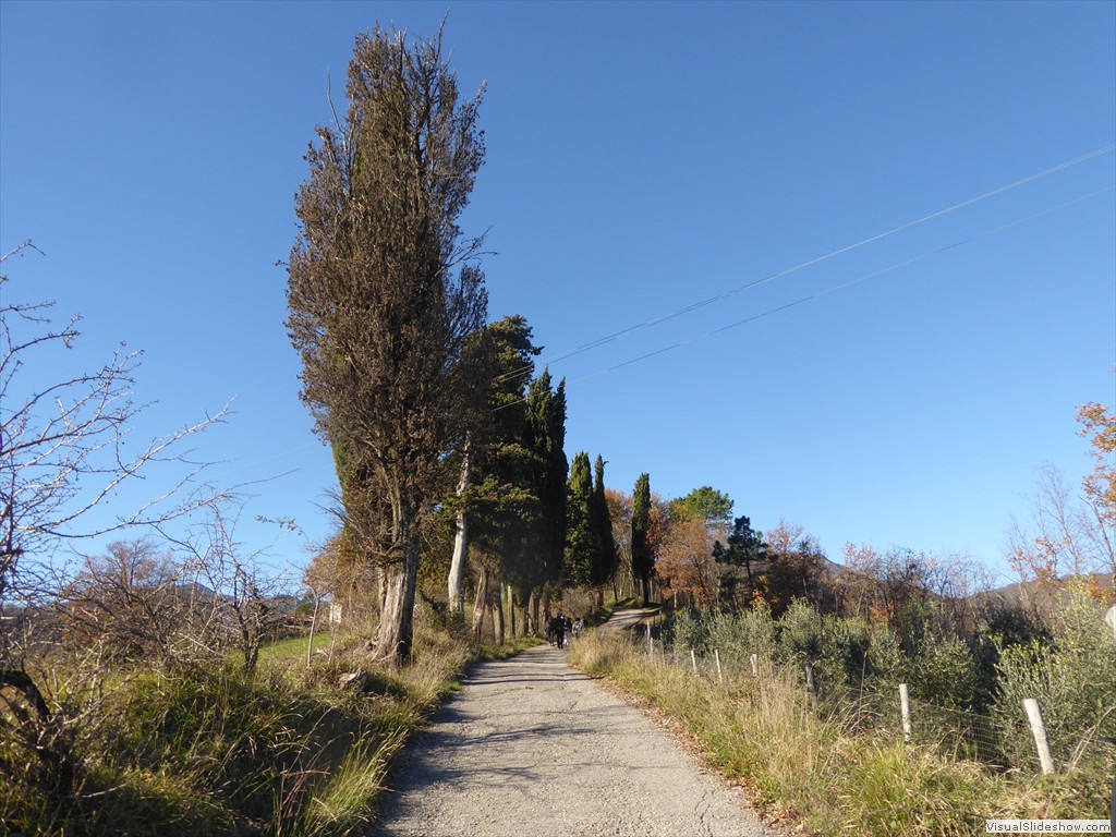 P1020221