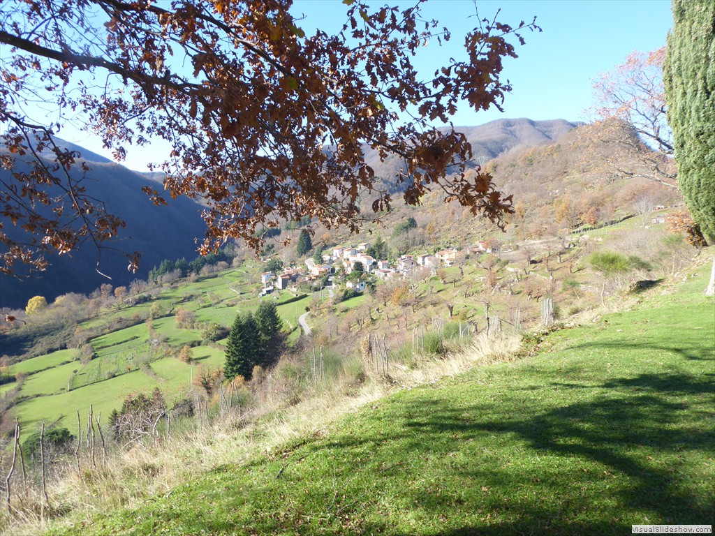 P1020232