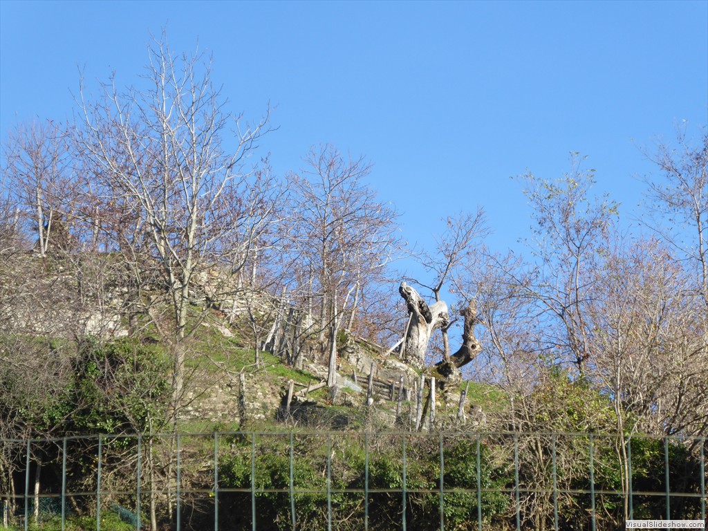 P1020240