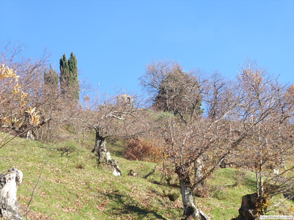 P1020242