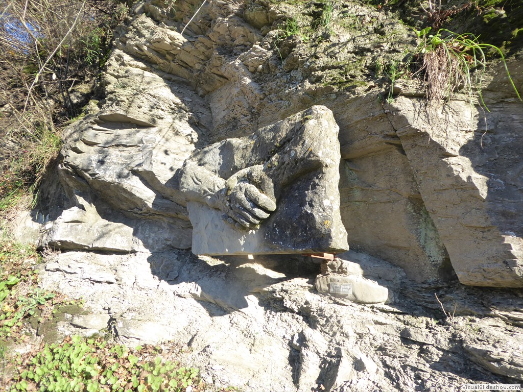 P1020254