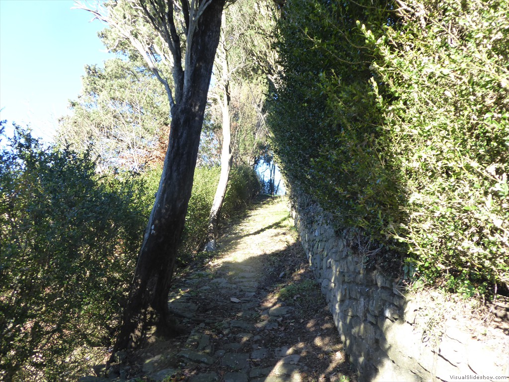 P1020255