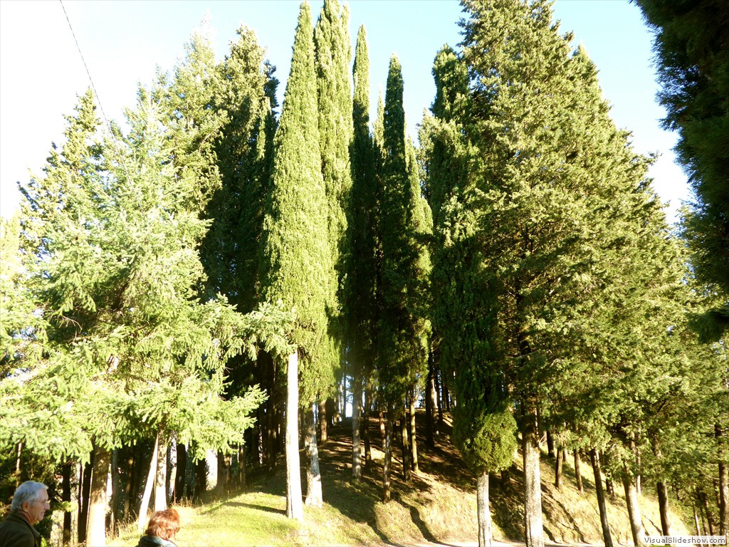 P1020259
