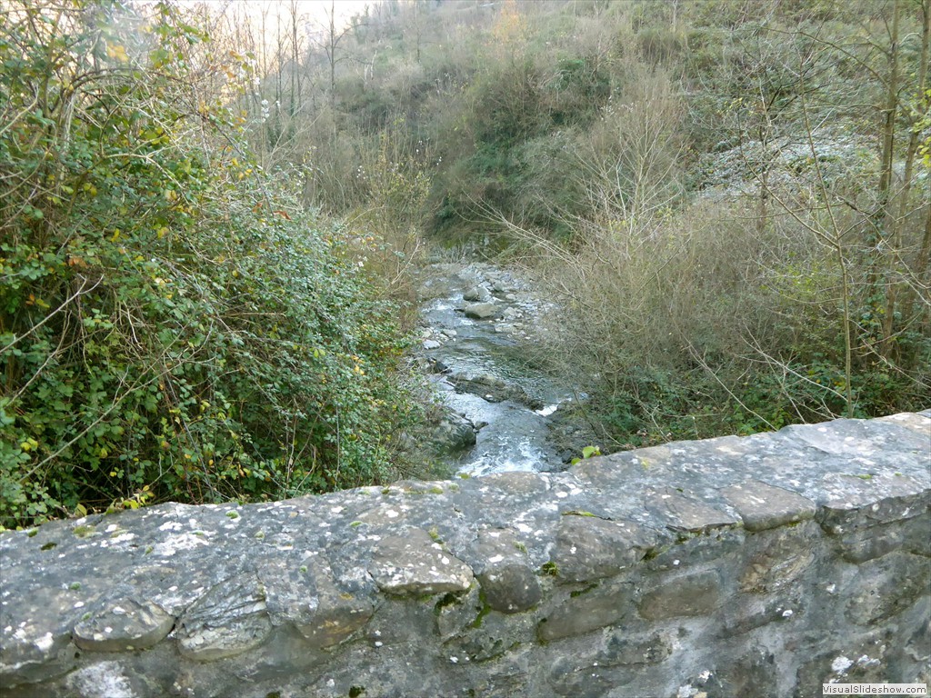 P1020272