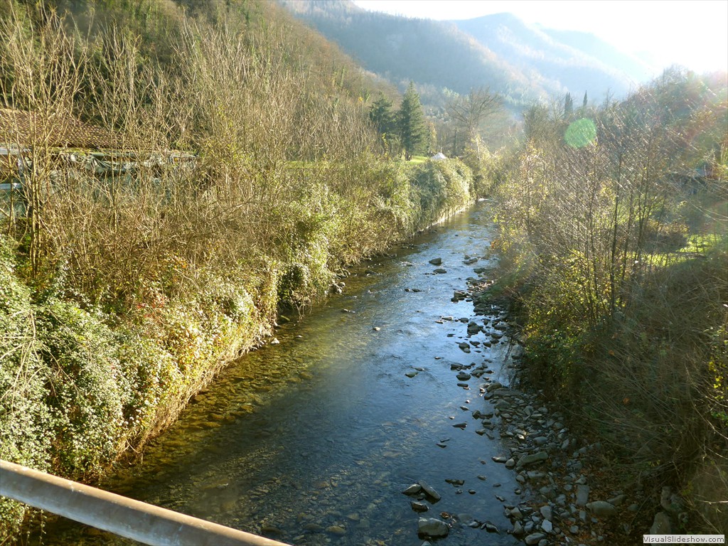 P1020278