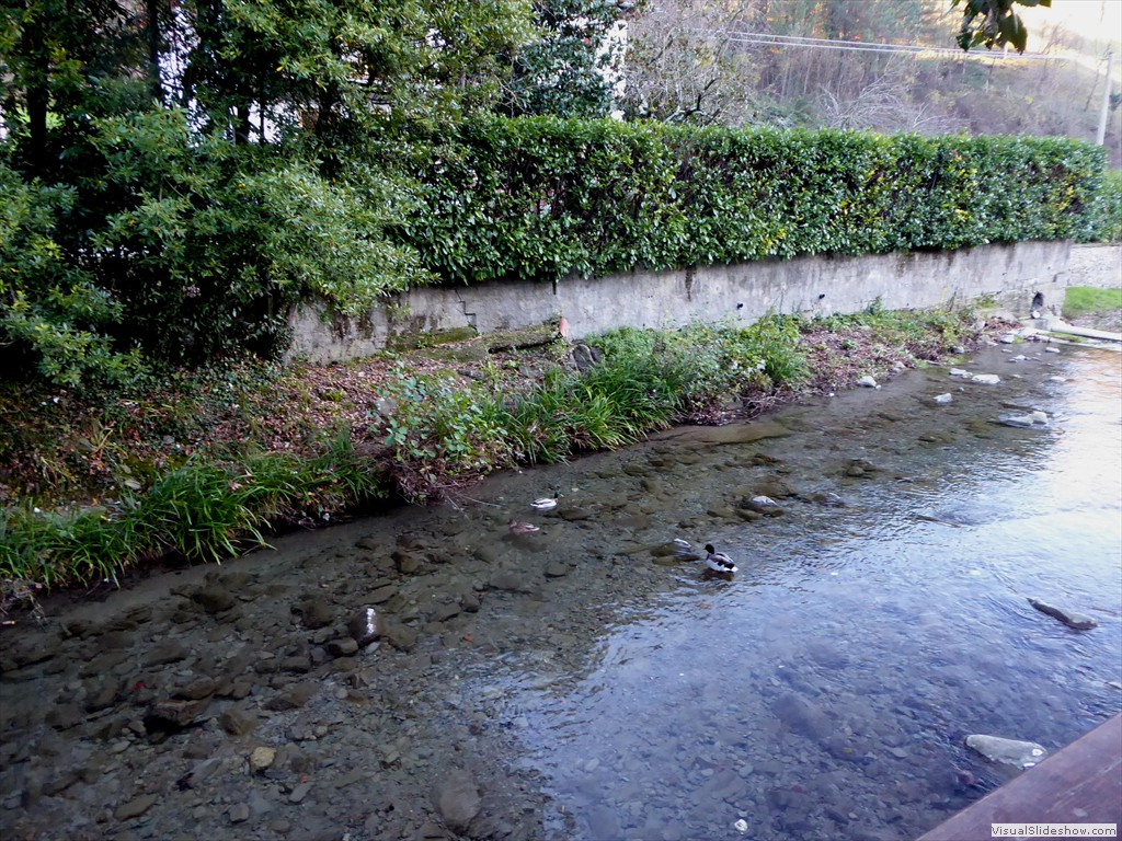 P1020297