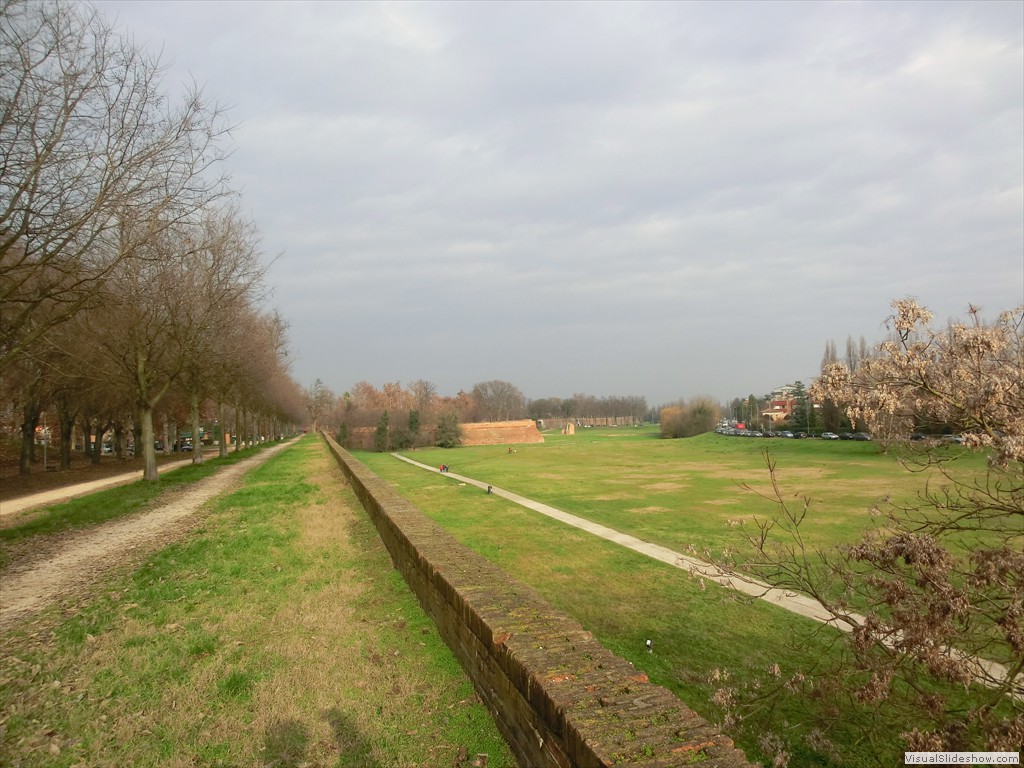 fer11031