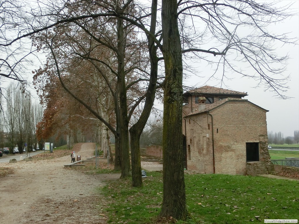 fer11050